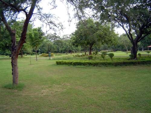Outdoor Pictures 1