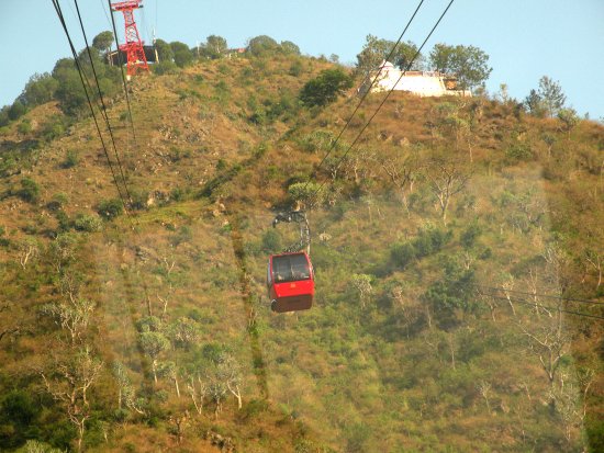 Timber Trail
