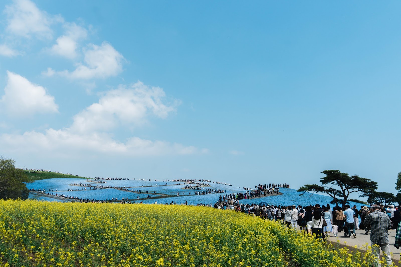 Yukinoura Seaside Park