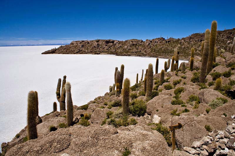 Isla Incahuasi