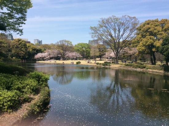 Kitanomaru Park