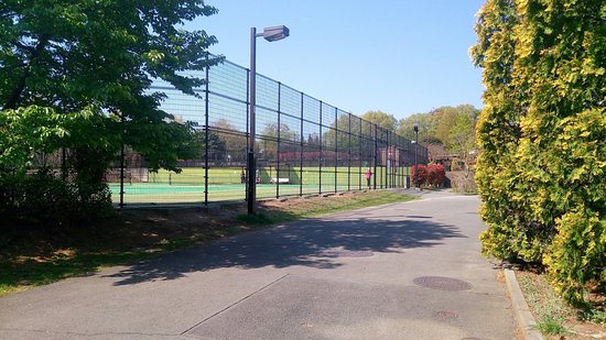 Hachioji Matsuki Park Tennis Court