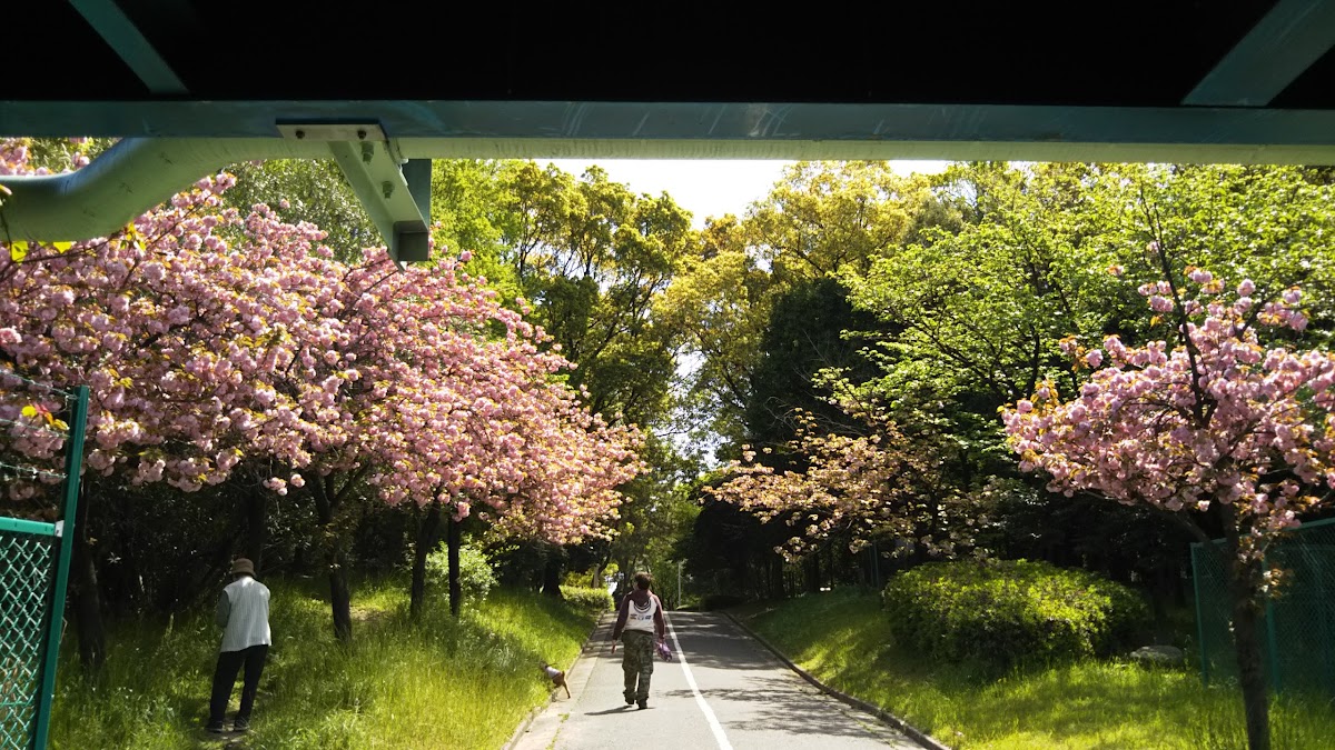 Kitauragawa Ryokuchi Park