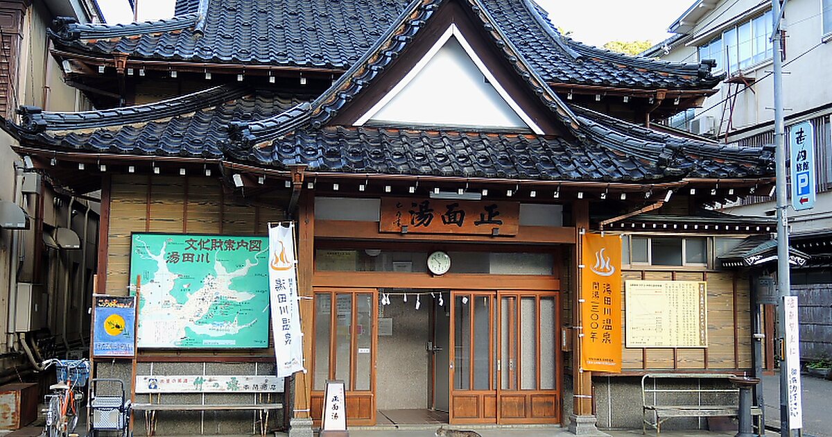 Jijisugi