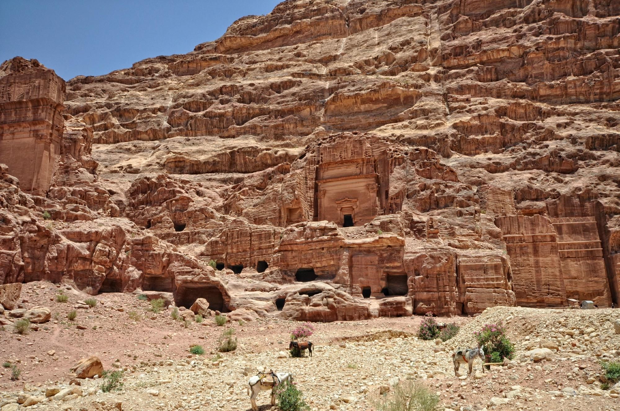 Petra Visitors Center