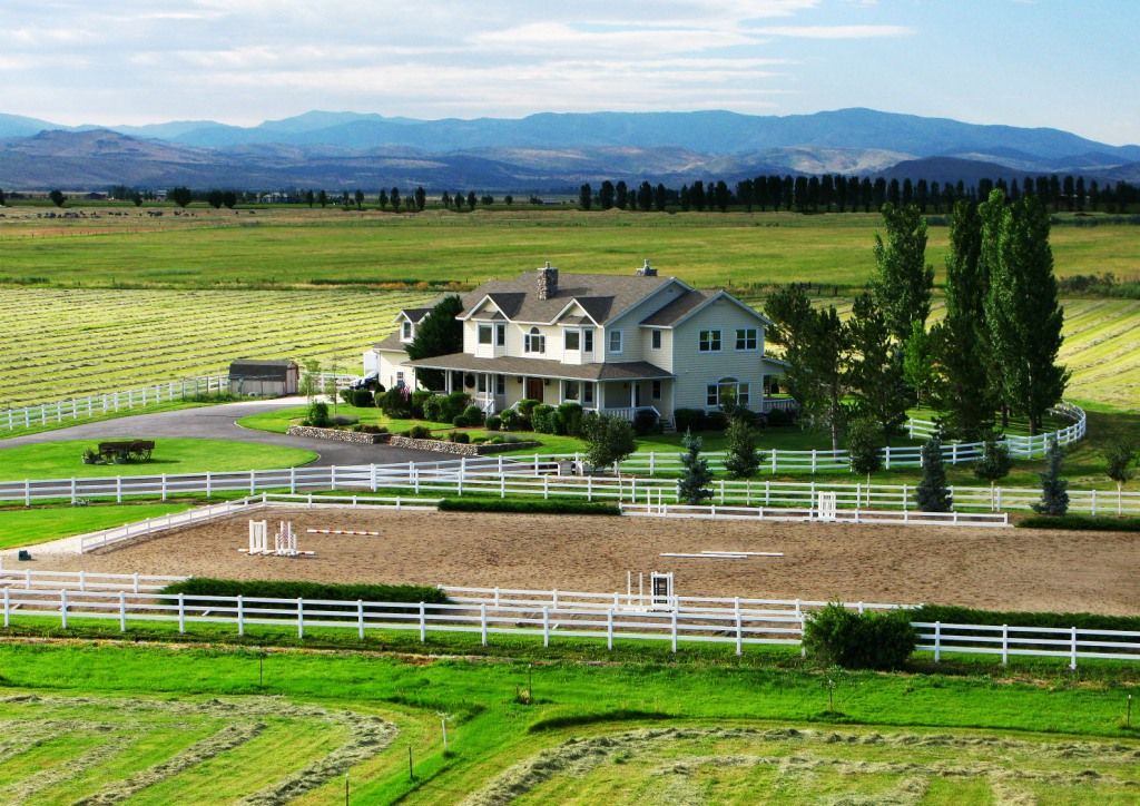 Goldbud Farms