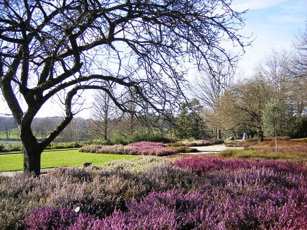 Parc de la Beaujoire