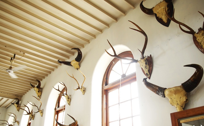 Kasthuri Sreenivasan Trust Art Gallery and Textile Museum