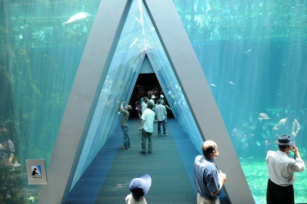 Aquamarine Fukushima