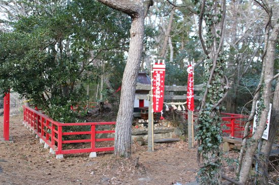 Tashiro Island
