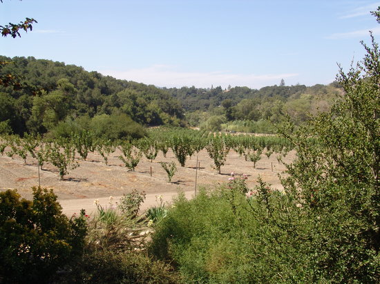 Ventura County Wine Trail