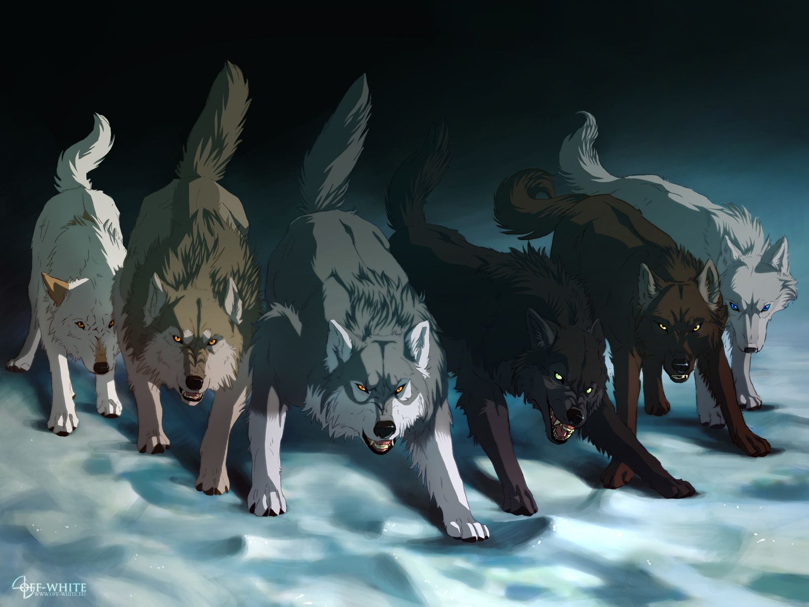 Three Wolf
