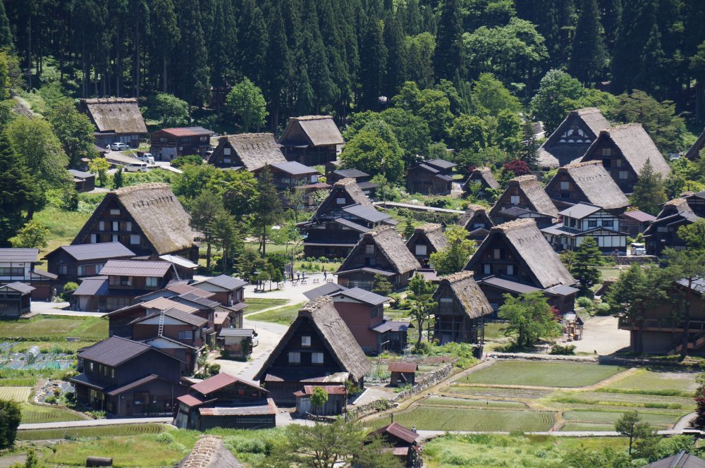 Shirakawa Shirasaka No Mori Sports Park