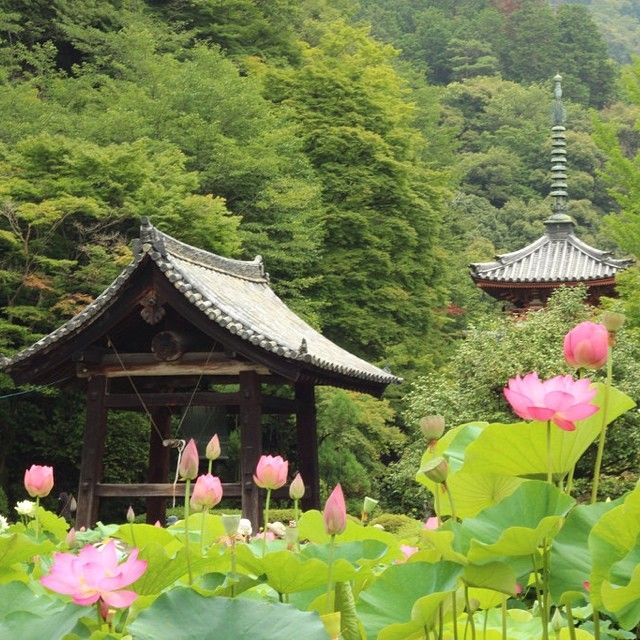 Mimurotoji Temple