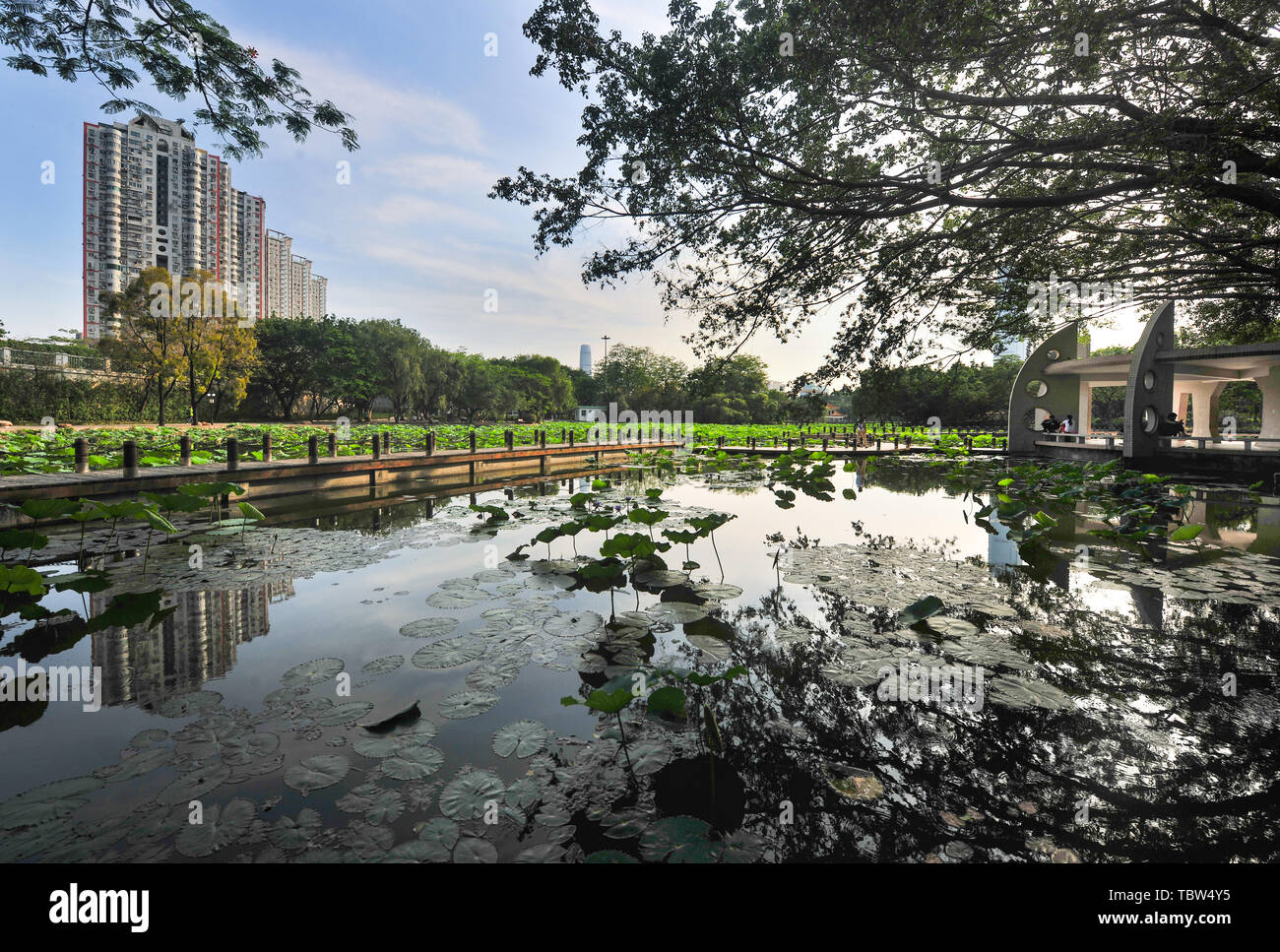 Honghu Park