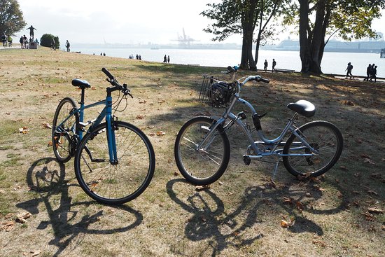 Spokes Bicycle Rentals