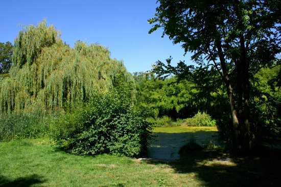 Arboretum Du Bois De Vincennes