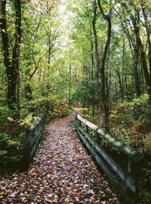 Outdoor Pictures 1