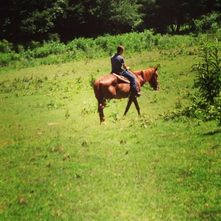 Apple Valley Stables