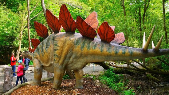 DinoPark Koice
