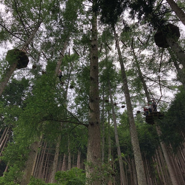 Forest Adventure Kosuge
