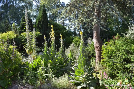 Jardin Botanique du Beau Pays