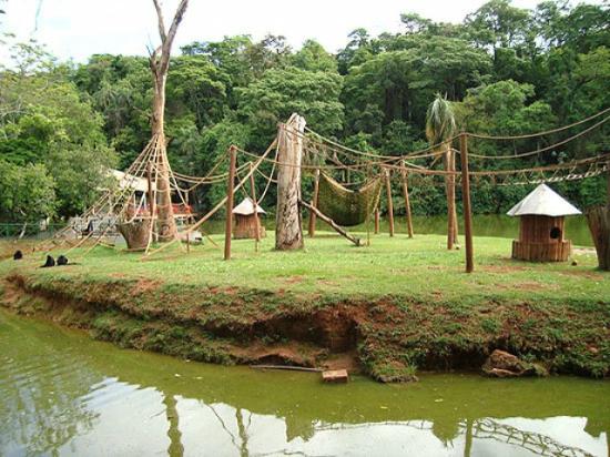 Jardim Zoologico De Brasilia