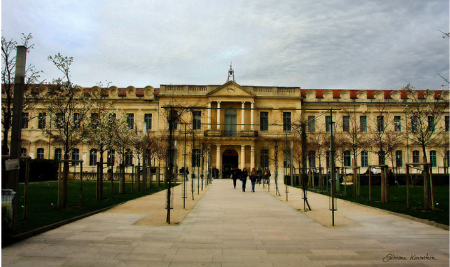 Institut MY