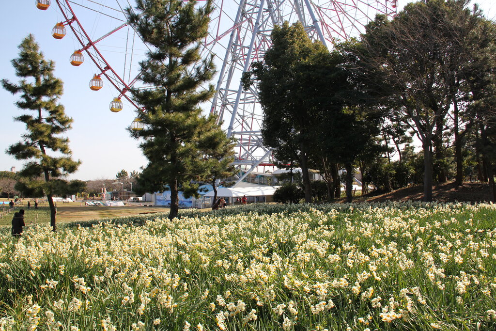 Outdoor Pictures 1