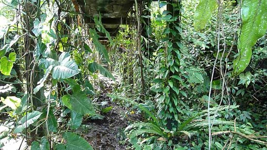 National Park Gorgona