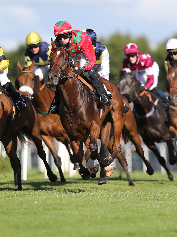 Musselburgh Racecourse
