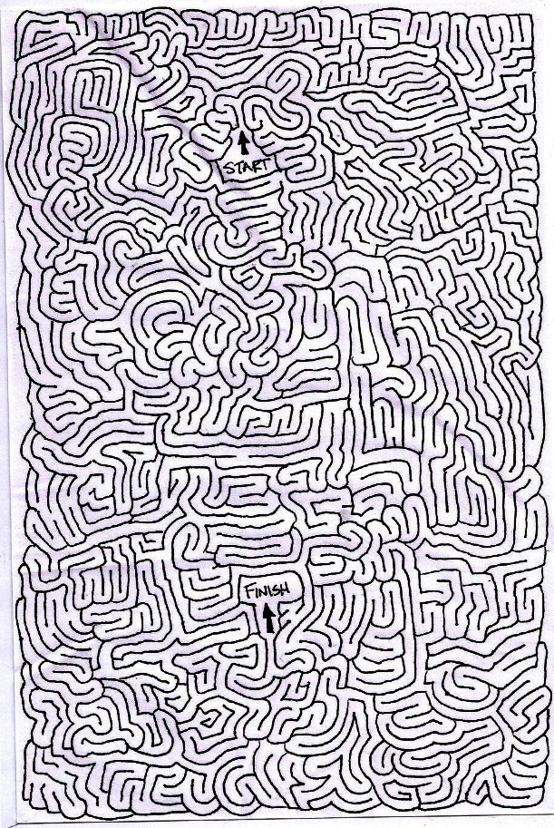 Logical Maze