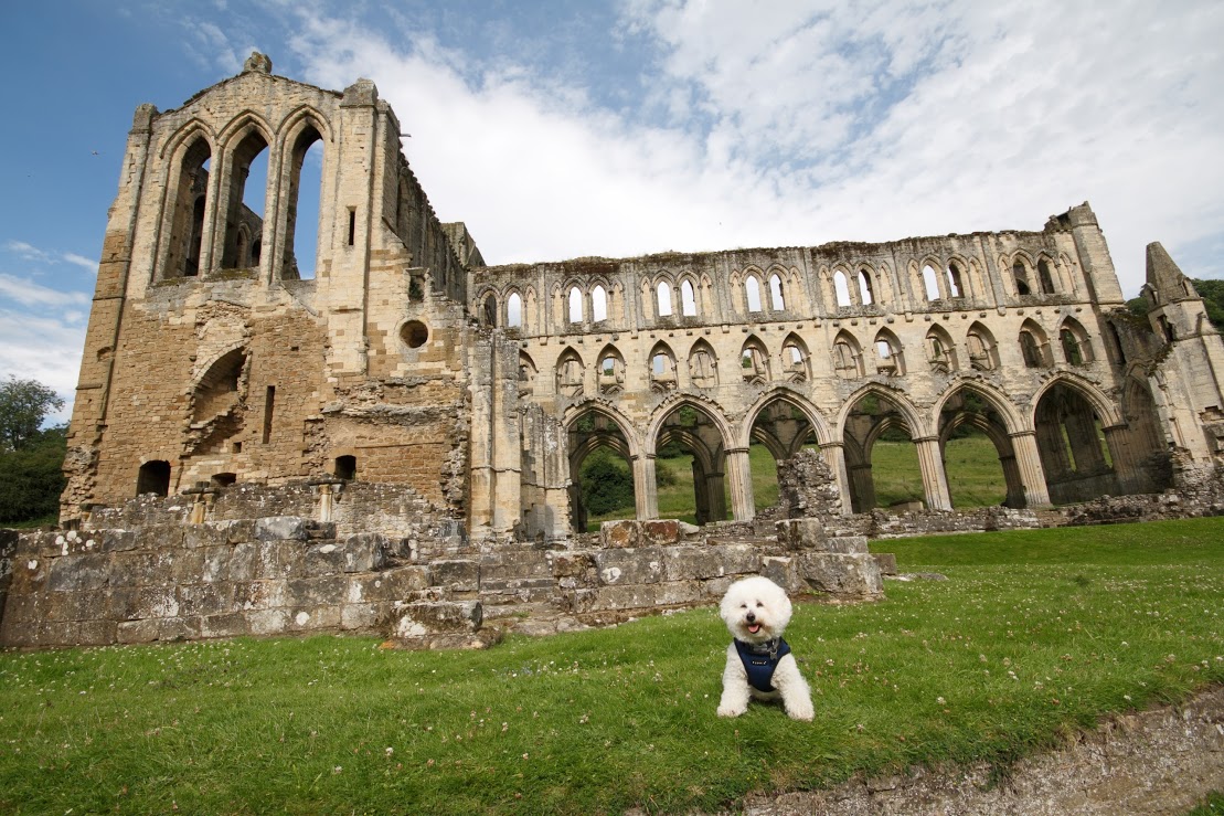 Rievaulx Abbey