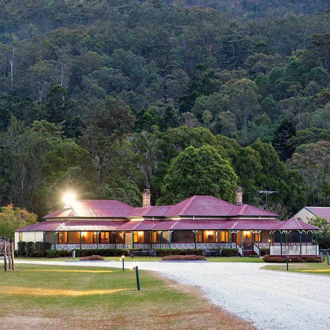 OReillys Canungra Valley Vineyards