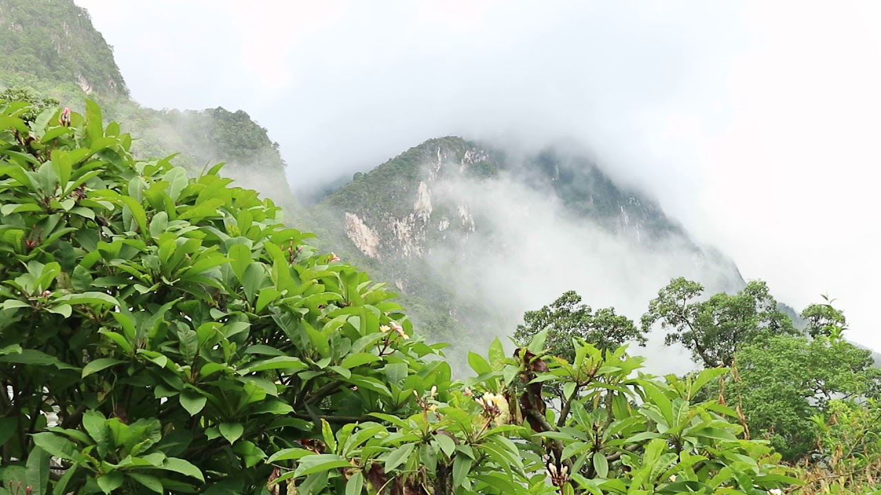 Pha Daeng National Park