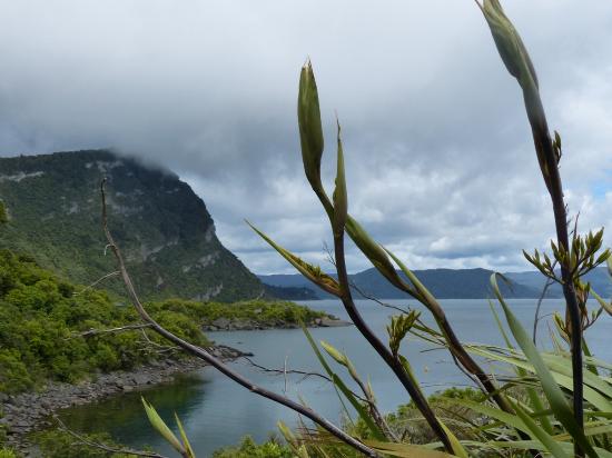 Te Urewera National Park