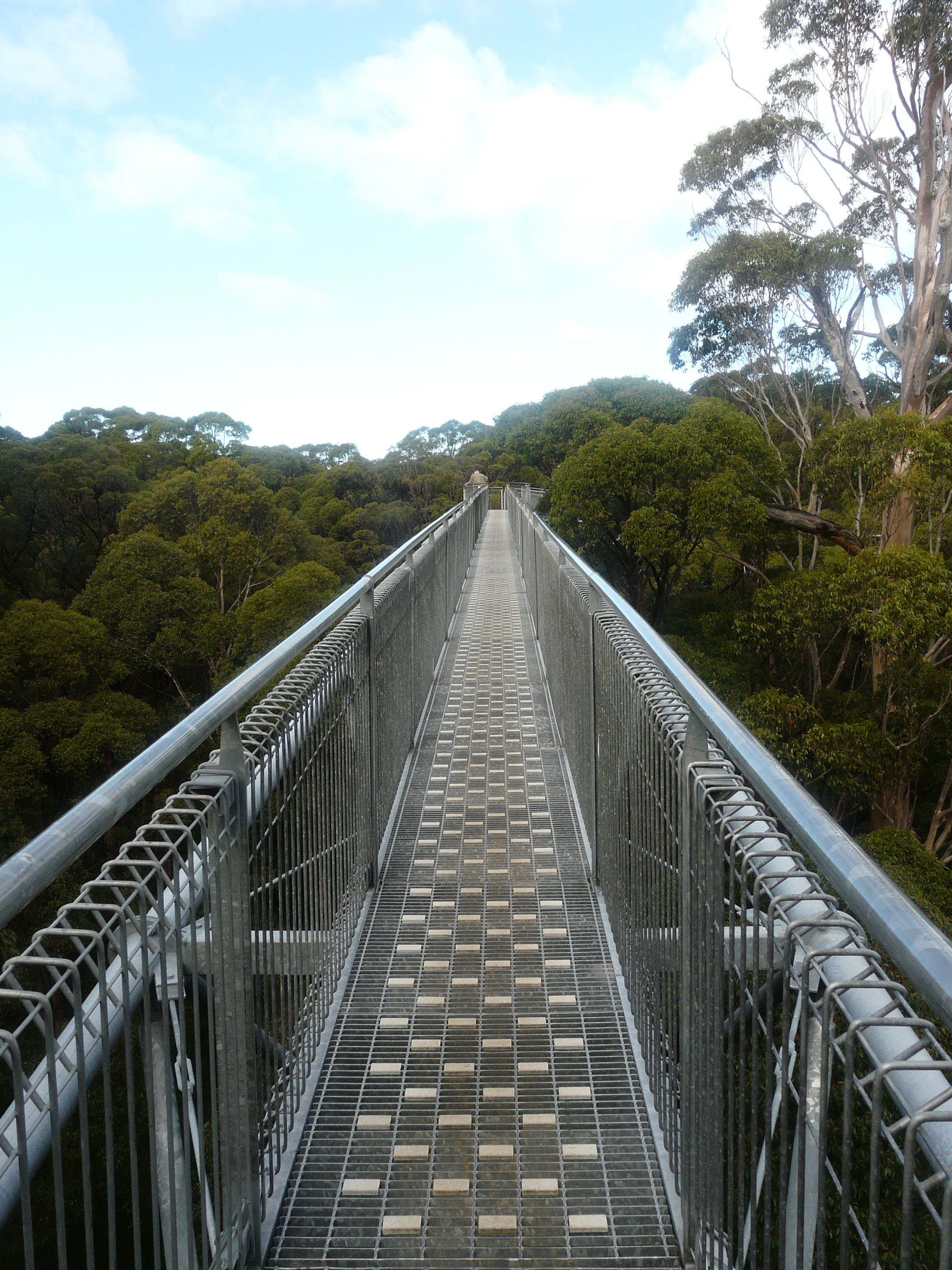 Tree Top Walk