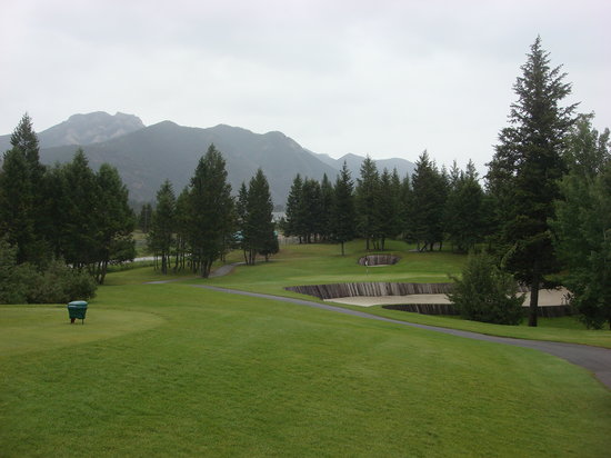 The Springs Course