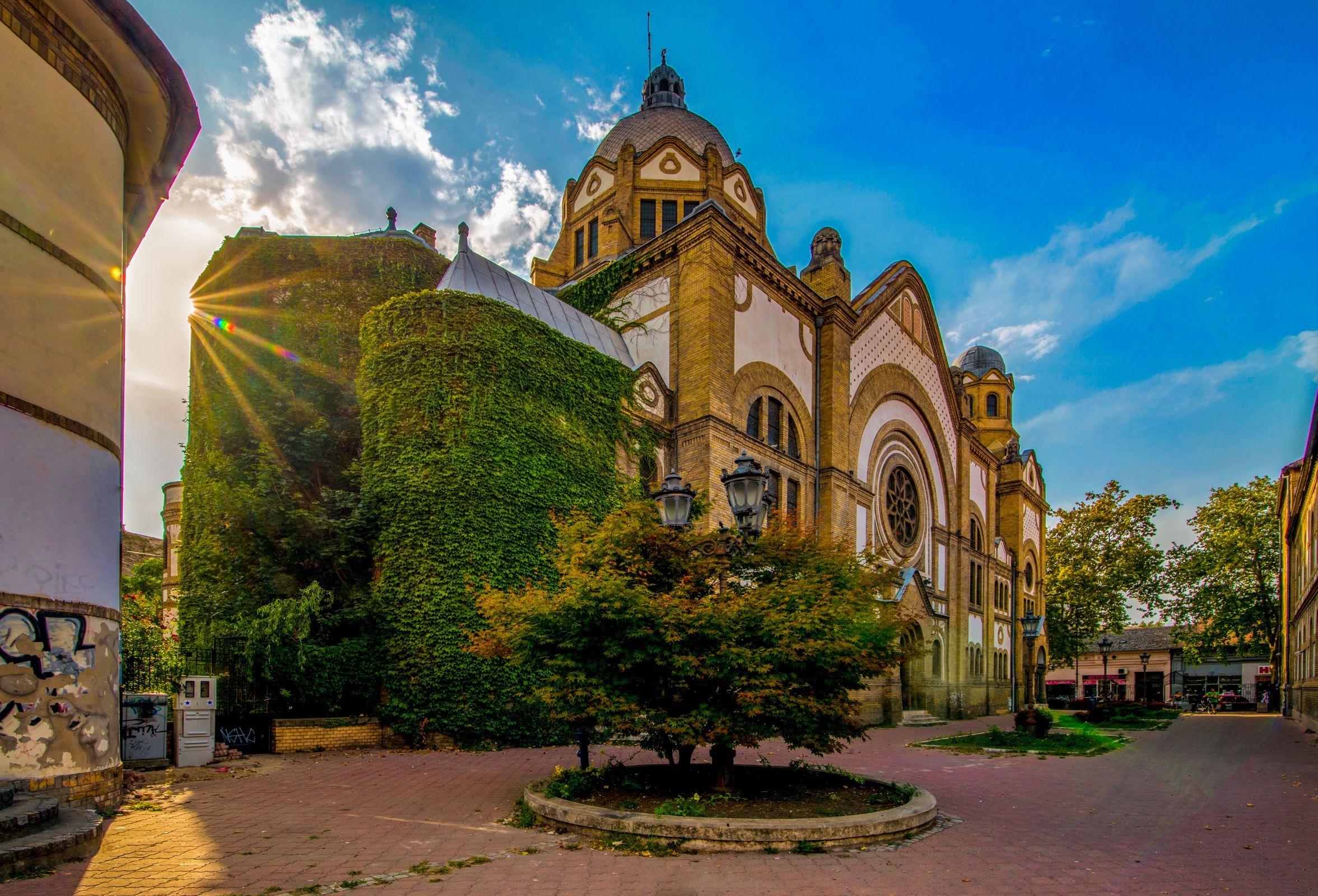 The Synagogue