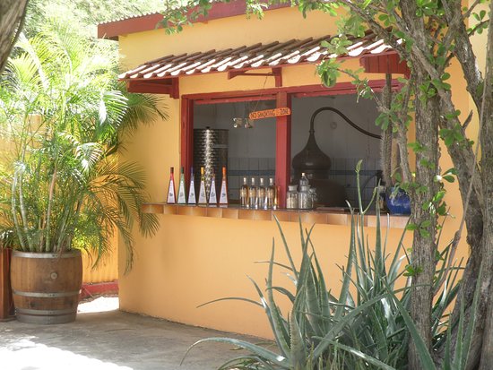 The Cadushy Distillery