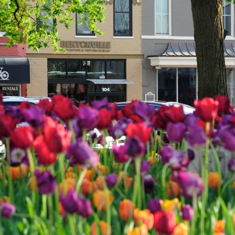 Bentonville Convention & Visitors Bureau