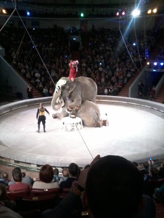 Kemerovo State Circus