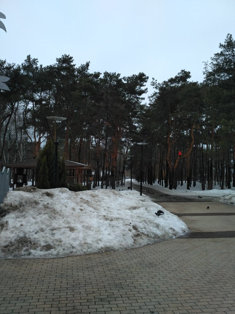 Park Alyye Parusa