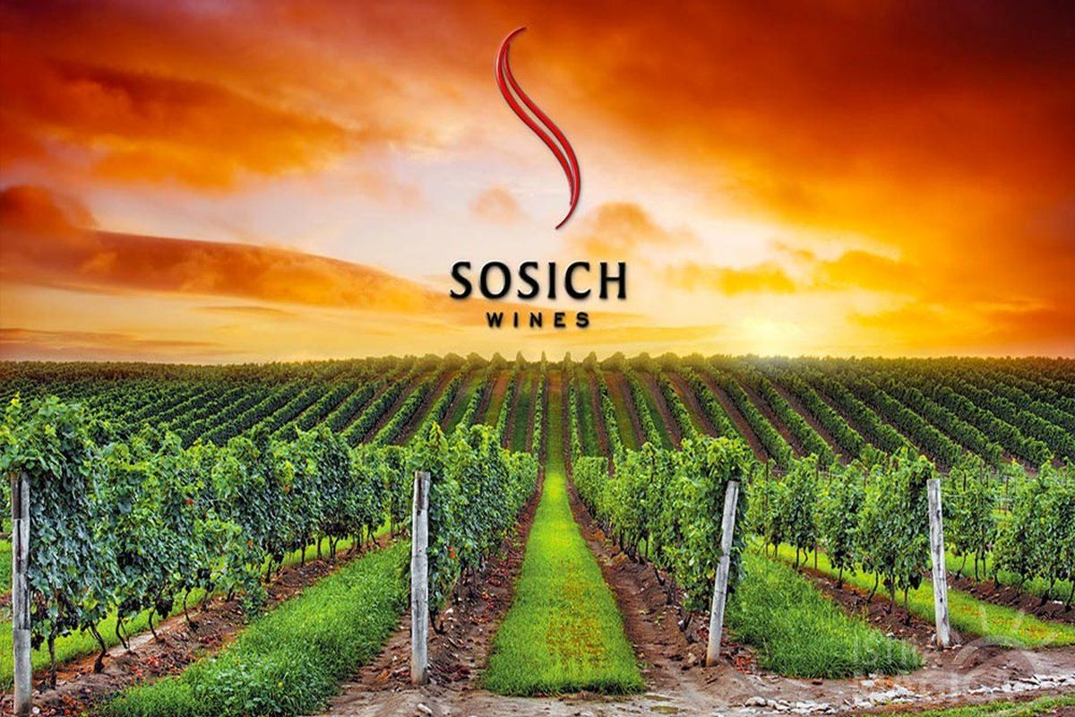 Sosich Wines