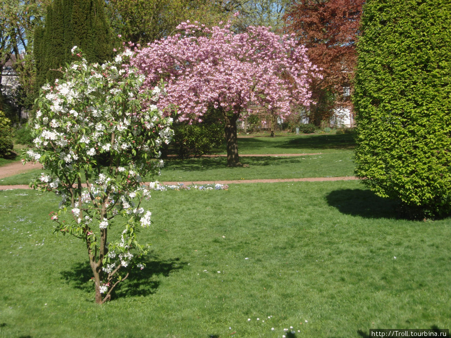 Jardin Botanique de Tourcoing