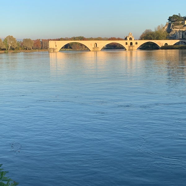 Ile de la Barthelasse