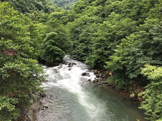 National Park Kintrishi