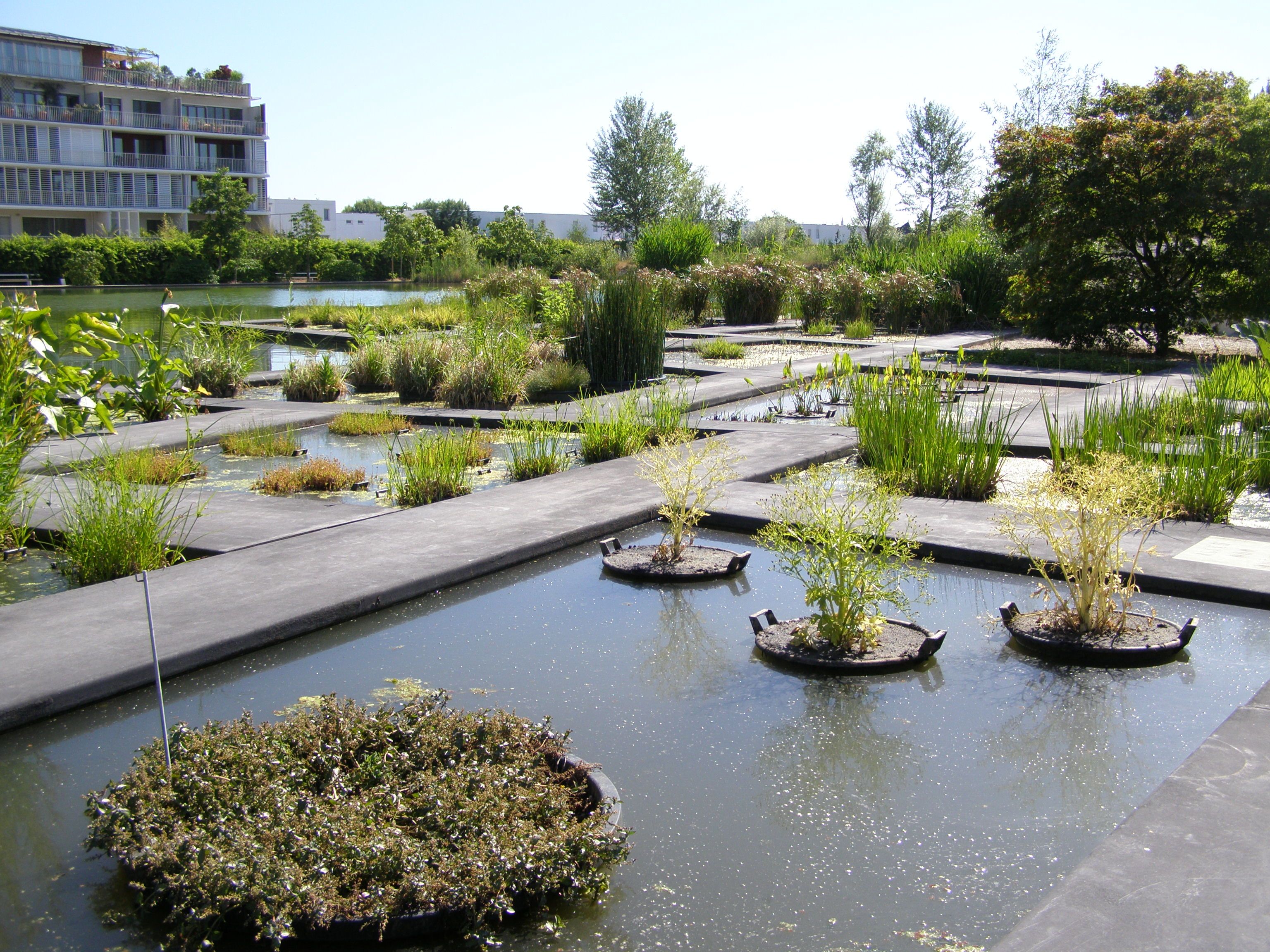 Jardin Botanique de Bordeaux
