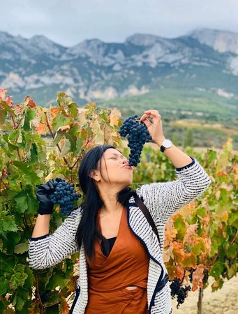Bodegas Lozano
