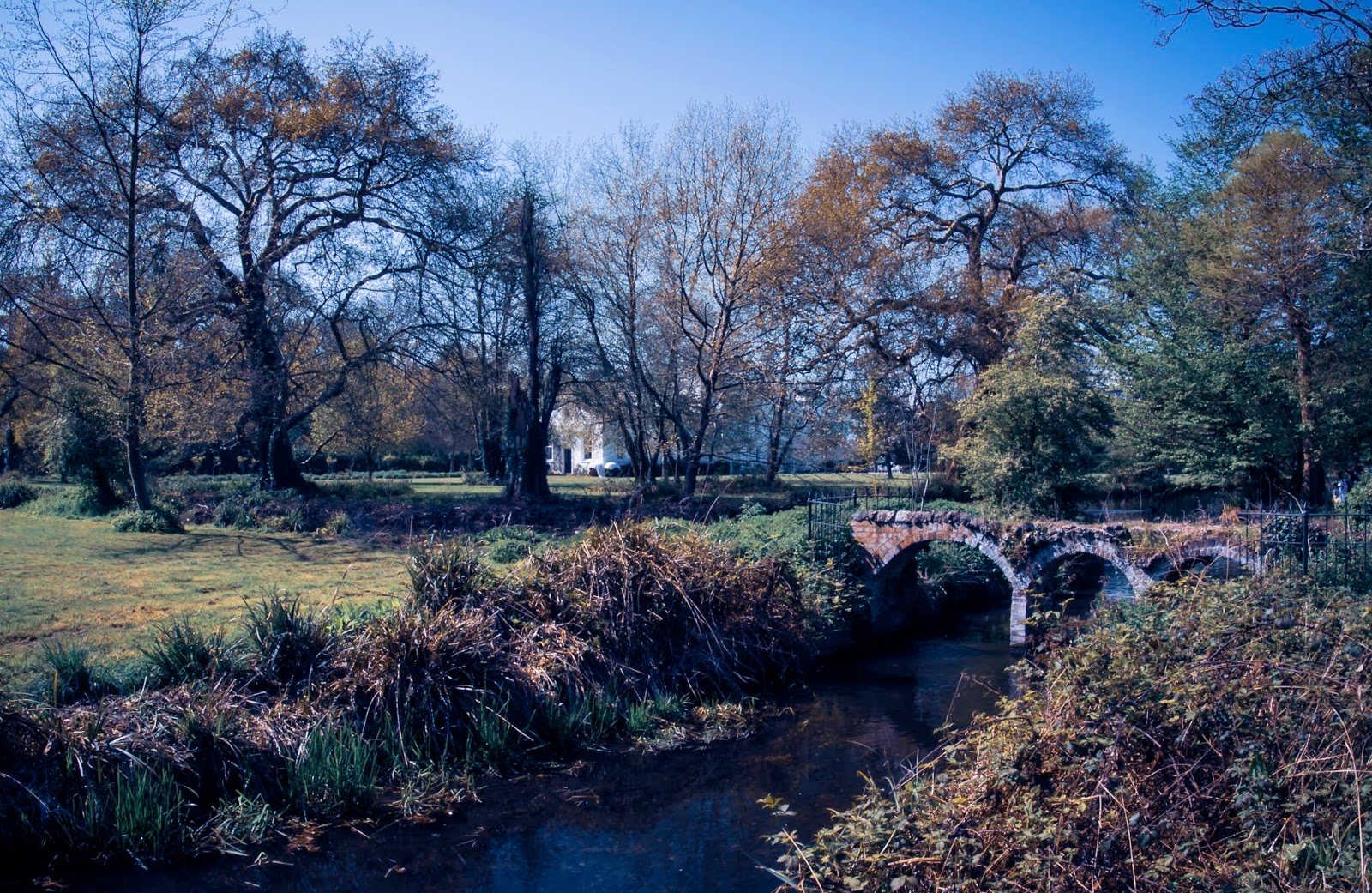 Morden Hall Park